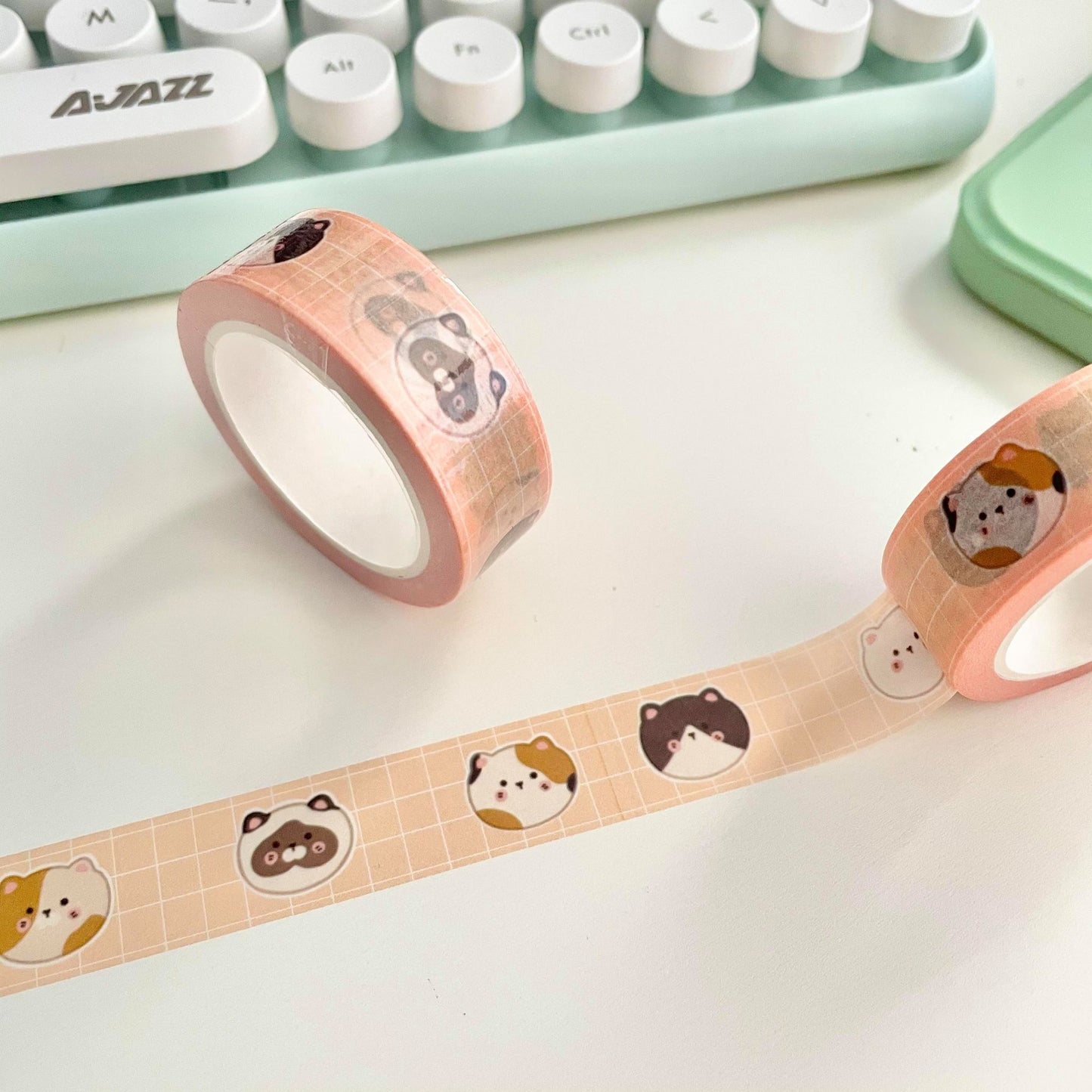 Chubby Kitty and Spring Tofu Washi Tape