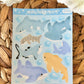 Patreon Sticker Club - Tofu’s Sea Finds